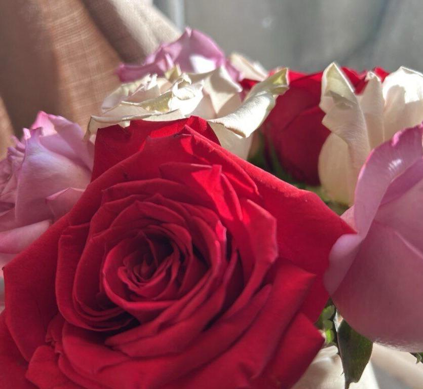 Recipes for the Heart: June